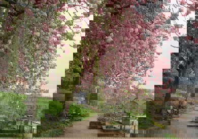 Alex Stone Tgna Igfo5i Unsplash