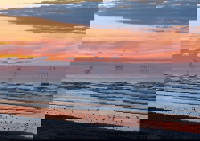 Yaopey Yong Cjcsrwsvyj0 Unsplash